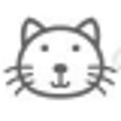 cat.png